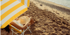 beach chair and umbrella